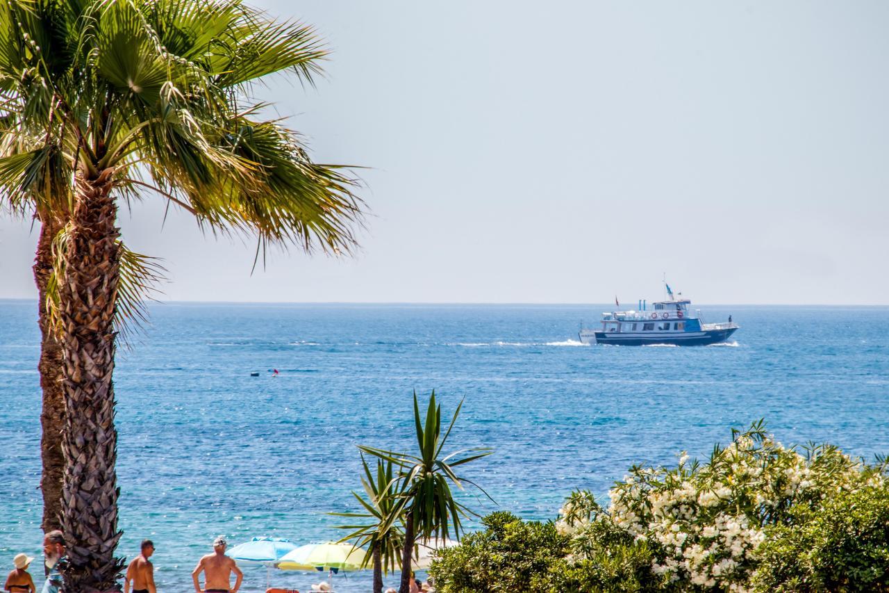 Espanatour Vega Baja ตอร์เรเวียคา ภายนอก รูปภาพ